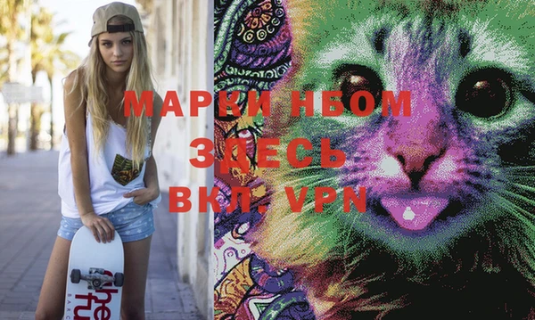 тгк Коряжма