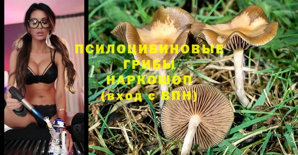 ешки Костерёво