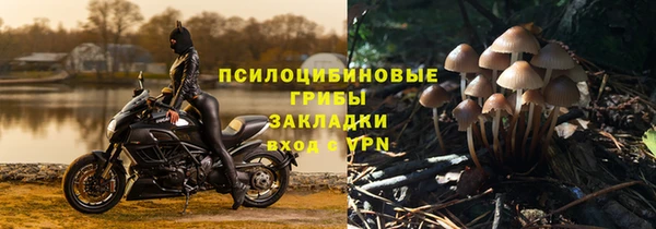 2c-b Корсаков