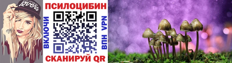 Купить  Конаково  Псилоцибиновые грибы Magic Shrooms 